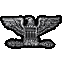 Lieutenant Colonel Lieutenant Colonel